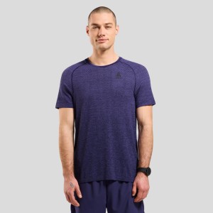 T-shirt de Sport Odlo ESSENTIAL SEAMLESS, Col Rond