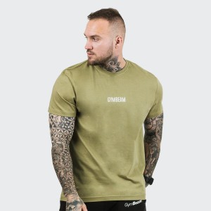 Koszulka męska fitness regular fit FIT