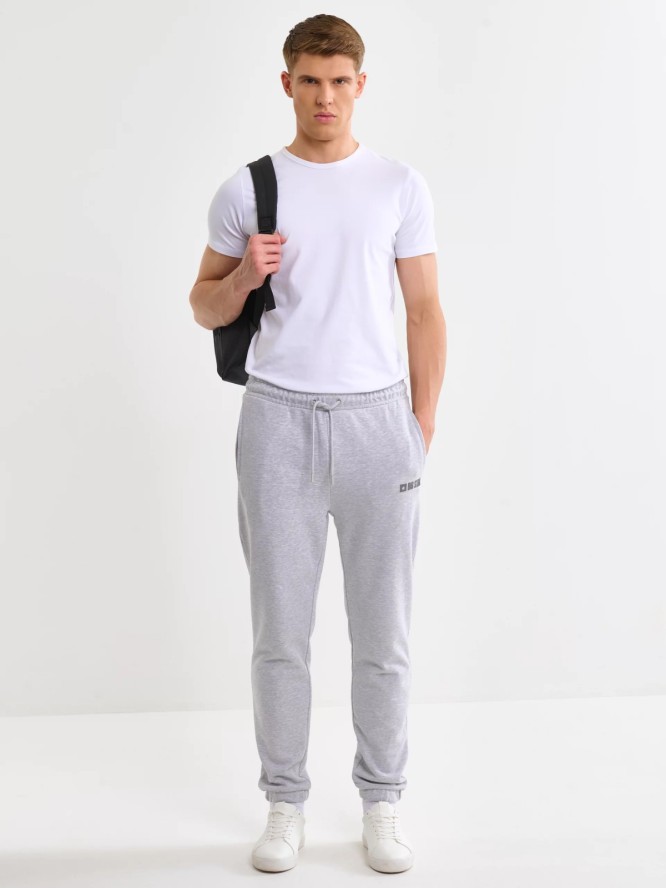 Spodnie męskie dresowe szare Brutus 901