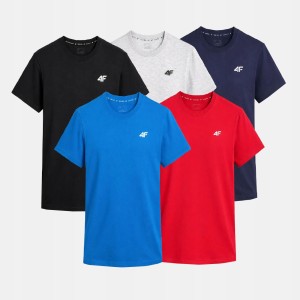 KOMPLET KOSZULEK MĘSKICH 4F ZESTAW 5PAK T-SHIRT TTSHM3341