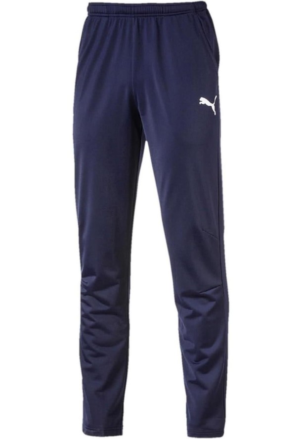 Spodnie męskie Puma Men Liga Pants Core