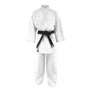 Kimono Mizuno tôshi