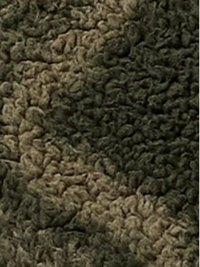 Columbia Polar Rugged Ridge™ 2135471 Zielony Regular Fit