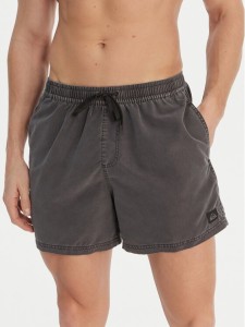 Quiksilver Szorty kąpielowe Everyday Surfwash EQYJV04155 Szary Regular Fit