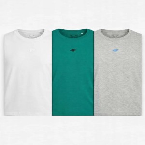 KOSZULKA MĘSKA 4F T-SHIRT LIMITOWANY KOMPLET ZESTAW 3 SZTUKI L M3947 SS26