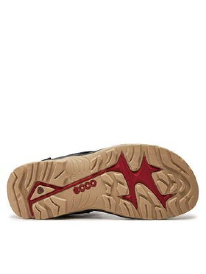 ECCO Sandały Offroad Yucatan M 06956402415 Czarny