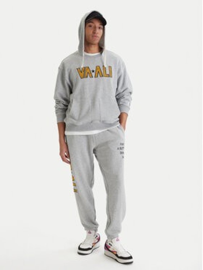 RVCA Bluza Va X Ali 23A413500 Szary Regular Fit