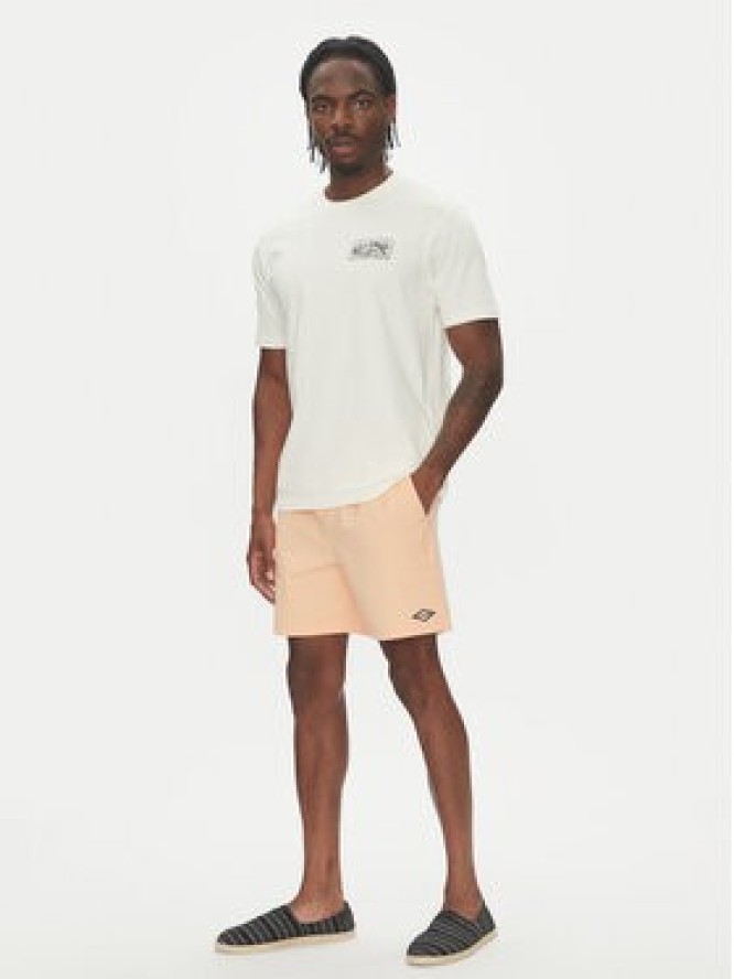 Billabong T-Shirt Scenic Arch Adiv Ss 24A501539 Biały Regular Fit