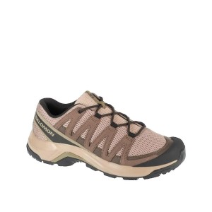 Buty trekkingowe Salomon X-Adventure Reckon GTX Beżowe