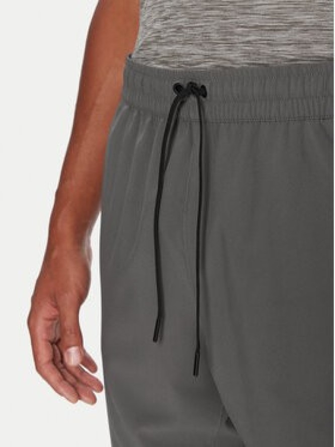 Reebok Szorty sportowe RK25181CCM Szary Regular Fit