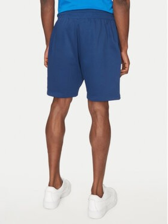 The North Face Szorty sportowe Nse Box NF0A8C1J Niebieski Regular Fit