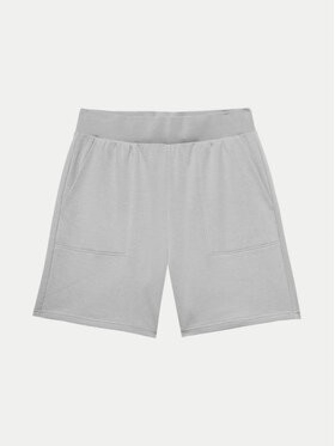 4F Szorty sportowe 4FWSS24TSHOM330 Szary Regular Fit
