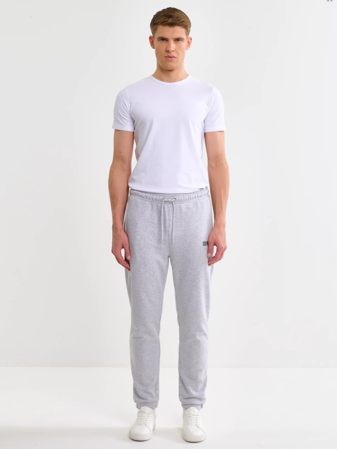 Spodnie męskie dresowe szare Brutus 901