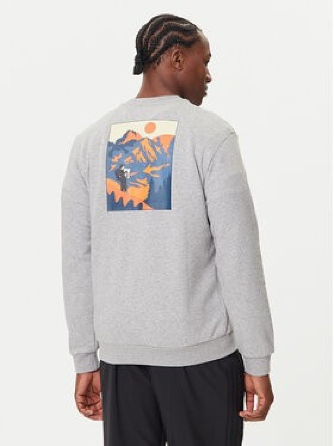 adidas Bluza Doodle Hunt Hike Graphic JM6503 Szary Regular Fit