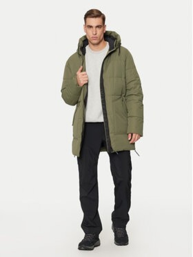 Halti Kurtka zimowa Linjat 065-0419 Zielony Regular Fit