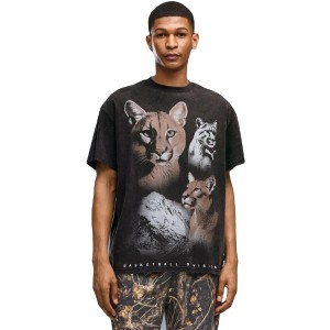 męskie T-shirt Puma Dylan Wildcat Tee II