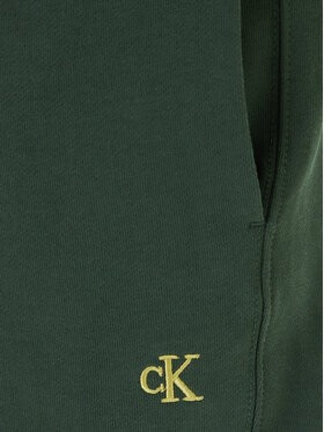 Calvin Klein Jeans Spodnie dresowe LV04RD241G Zielony Regular Fit