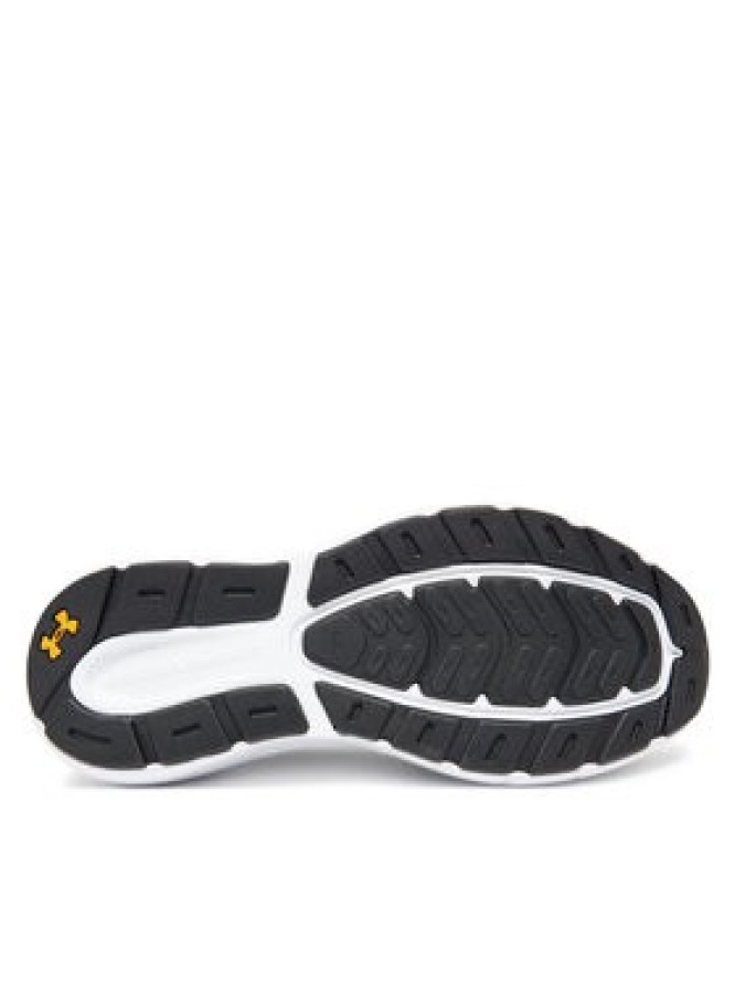 Under Armour Buty do biegania Rogue 5 3028256-025 Szary