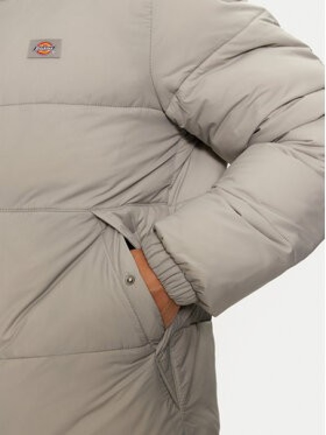 Dickies Kurtka przejściowa Waldenburg DK0A4XP2D06 Szary Regular Fit