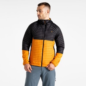 Męska kurtka hybrydowa Descending II