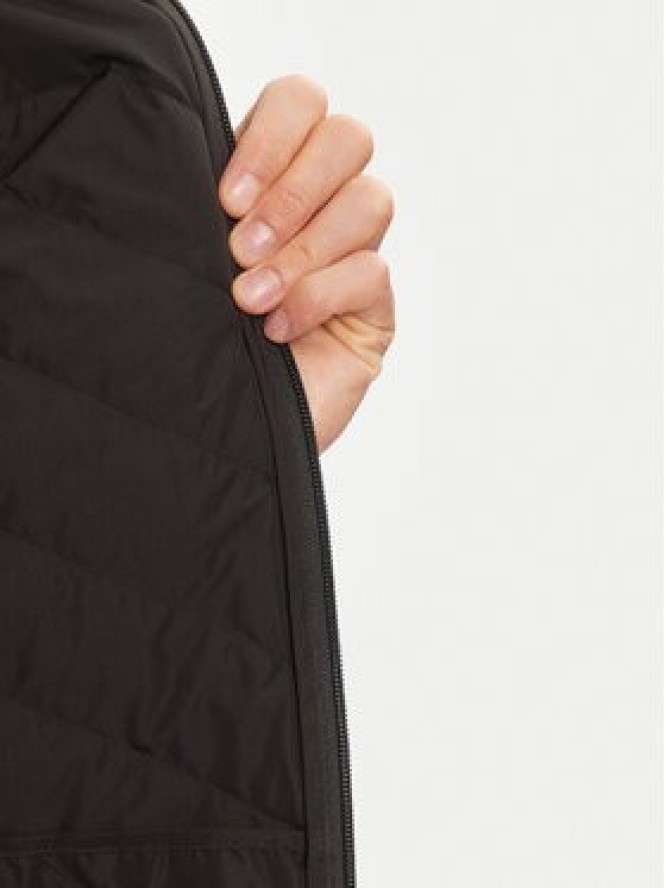 EA7 Emporio Armani Kurtka puchowa 8NPB14 PNE1Z 1200 Czarny Regular Fit