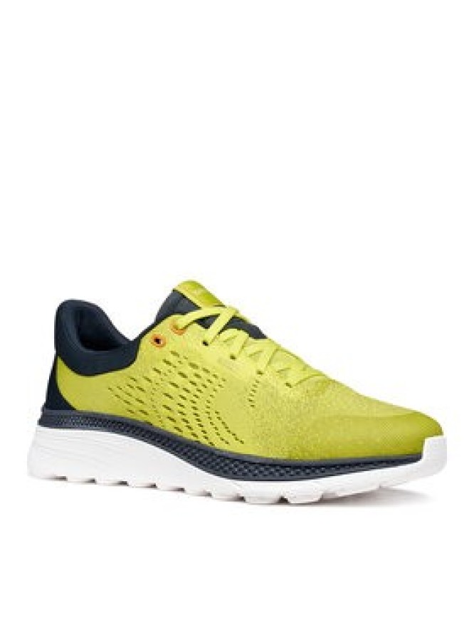 Geox Sneakersy U Spherica Actif X1 U65HUB 0006K C3SF4 Zielony