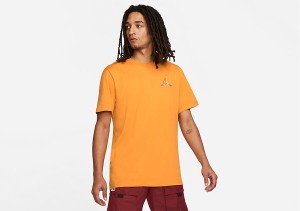 Koszulka męska nike air jordan jumpman 3d crew tee light curry