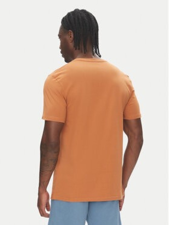 Quiksilver T-Shirt Ev Three Seas Ss EQYZT08051 Brązowy Regular Fit