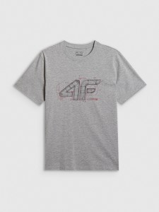 4F T-shirt regular z nadrukiem męski - szary M