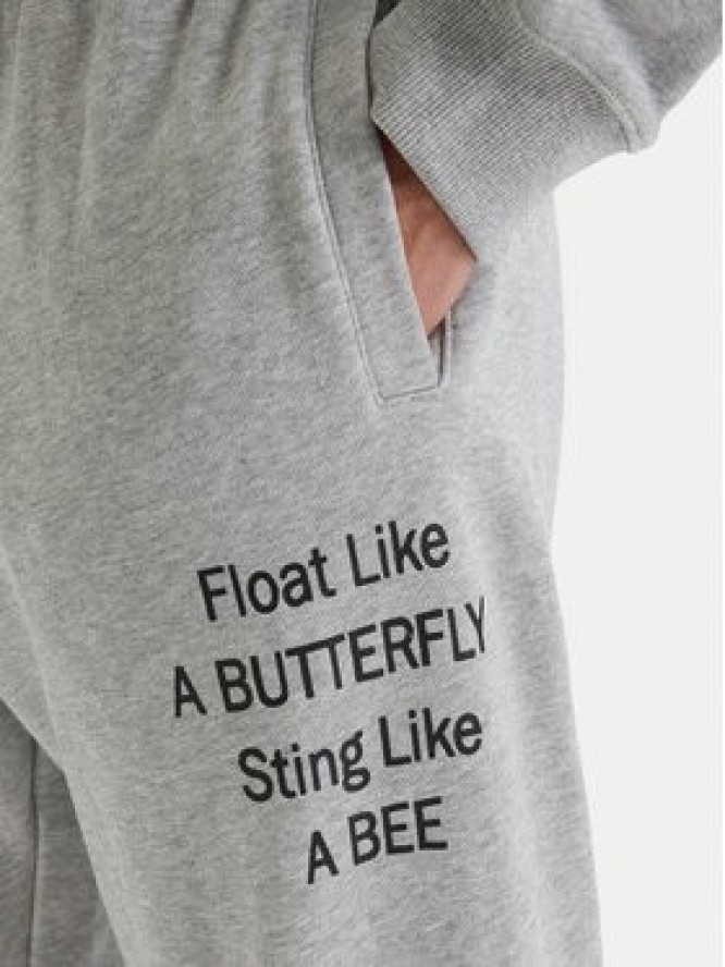 RVCA Spodnie dresowe Va X Ali 23A123500 Szary Relaxed Fit