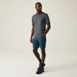 Leesville II męskie spodenki trekkingowe