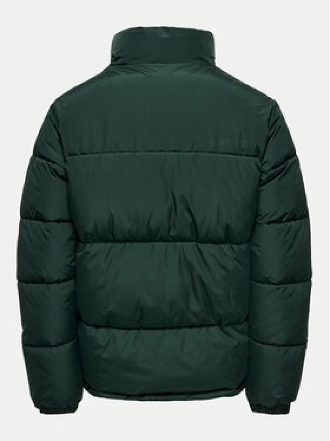 Only & Sons Kurtka zimowa 22025205 Zielony Regular Fit