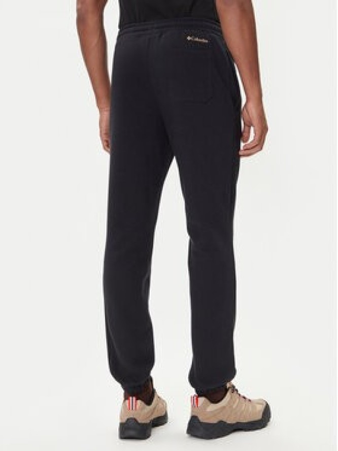 Columbia Spodnie dresowe Trek™ 1957944 Czarny Regular Fit