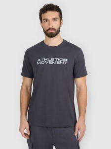 4F T-shirt regular z nadrukiem męski - szary XL