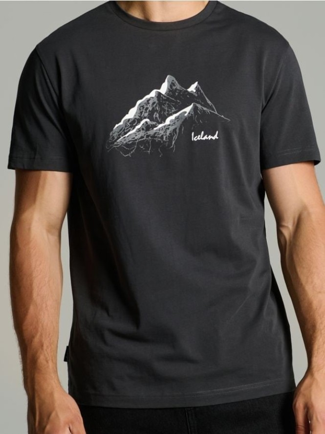 Koszulka regular z nadrukiem - szary