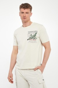 T-shirt męski z nadrukiem AERONAUTICA MILITARE