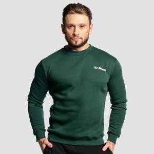 Bluza męska fitness regular fit Basic