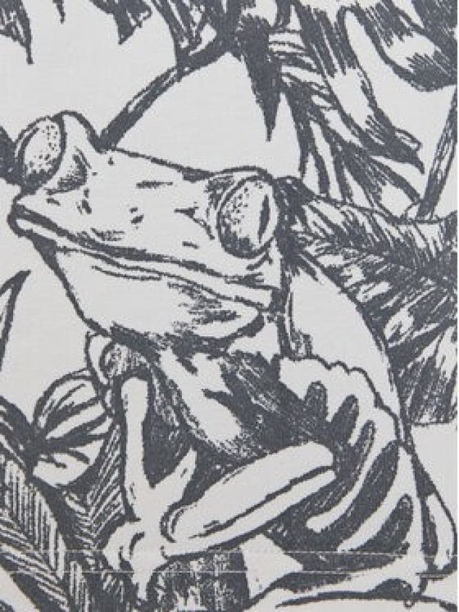 Nike T-Shirt Acg HJ0882 Biały Regular Fit