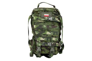 Plecak turystyczny Sparrow II 30L