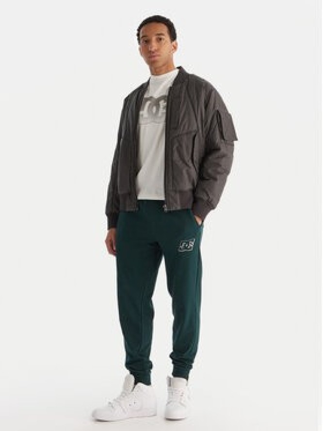 DC Shoes Spodnie dresowe ADYFB03072 GTP0 Zielony Regular Fit