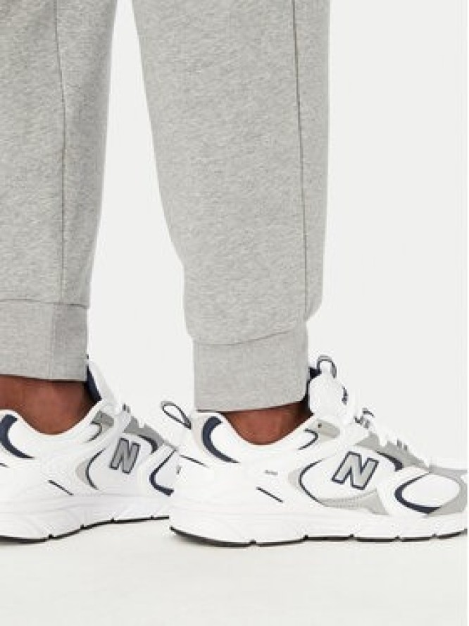 The North Face Spodnie dresowe Evolution Simple Dome NF0A8CWY Szary Regular Fit