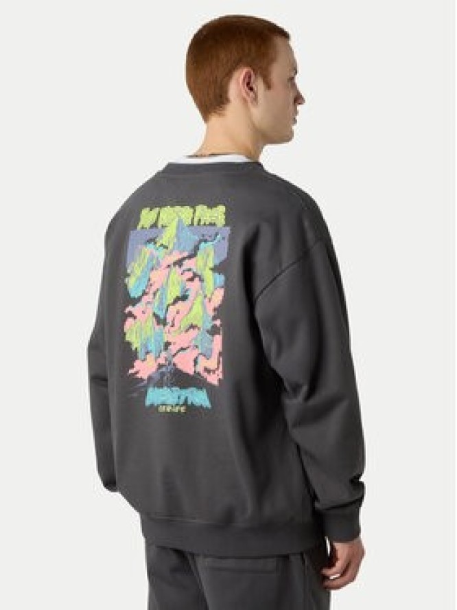 The North Face Bluza Expedition Celebration NF0A8E3G Szary Relaxed Fit