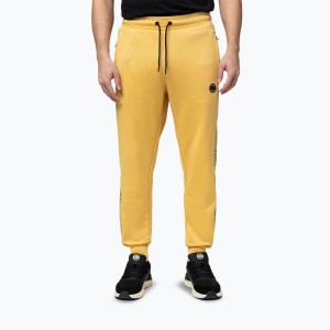 Spodnie męskie Pitbull Trackpants Tape Logo Terry Group