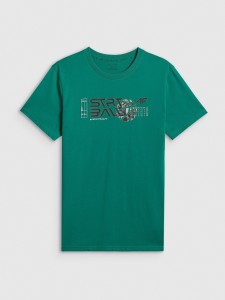 4F T-shirt regular z nadrukiem męski - zielony M