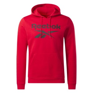 Bluza męska Reebok Identity Big Logo Fleece Hoodie