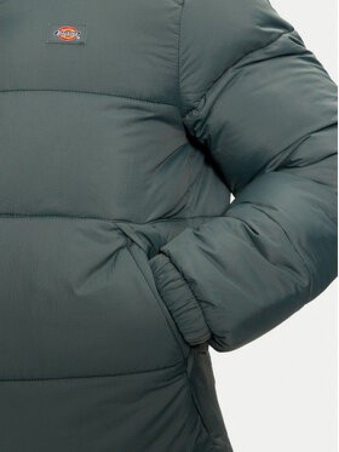 Dickies Kurtka przejściowa Waldenburg DK0A4XP20LN Zielony Regular Fit