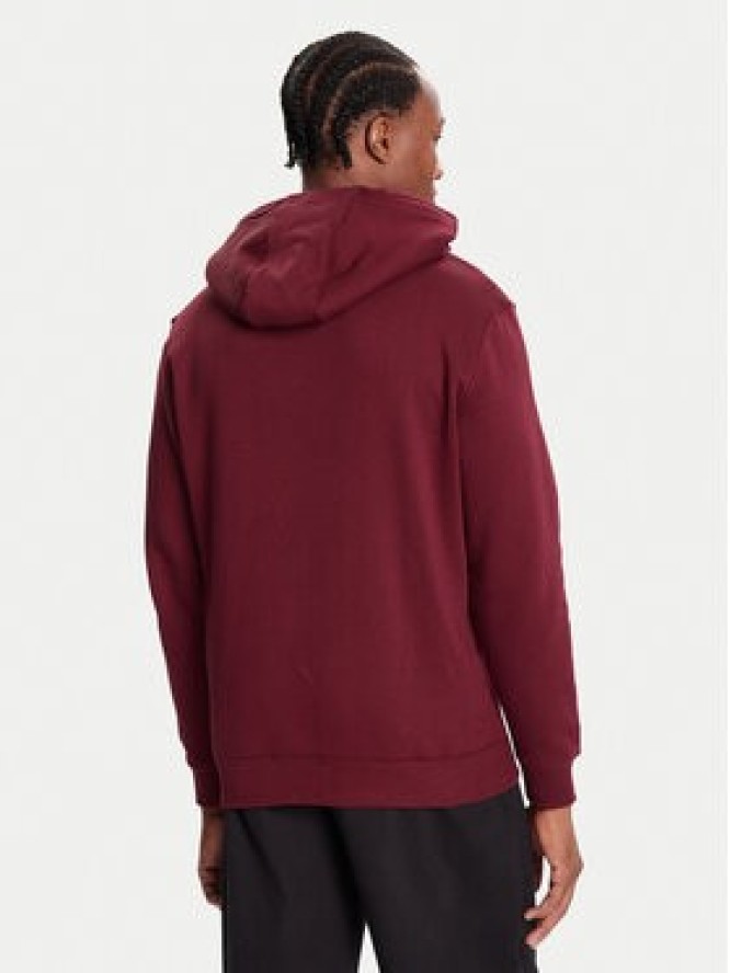 Tommy Jeans Bluza DM0DM20742 Bordowy Relaxed Fit