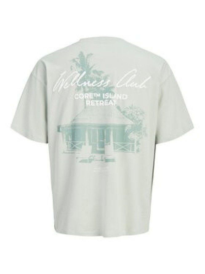 Jack & Jones T-Shirt Eterna 12295544 Szary Loose Fit