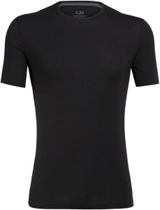 Koszulka męska Icebreaker Anatomica SS Crewe Snow T-Shirt