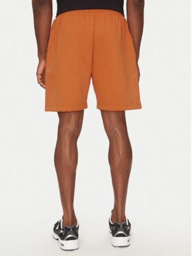 The North Face Szorty sportowe Nse Box NF0A8C1J Brązowy Regular Fit